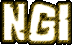 www.ngi.it